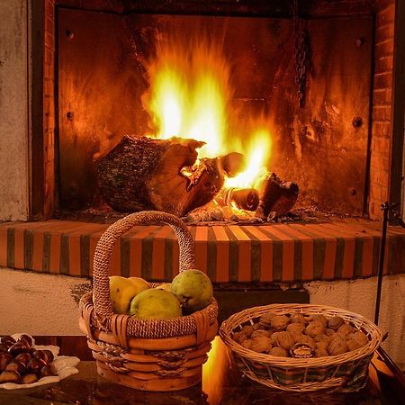 Hotel Los Castanos 아레세나 외부 사진